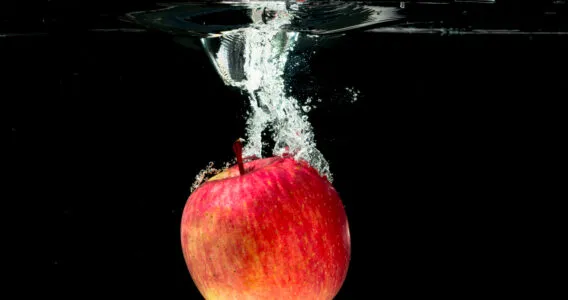 Warum fällt der Apfel? Gravitation zum Anfassen für Kinder